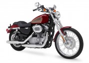 Harley-Davidson XL 883C Sportster 833 Custom